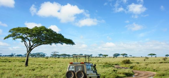 Afrikos stebuklai: poilsis egzotiškame Zanzibare ir nuotykiai Tanzanijos safaryje! 